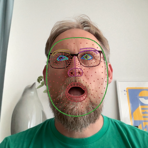 Screenshot of the Rerun viewer demoing the Face tracking example